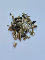 Wood Betony