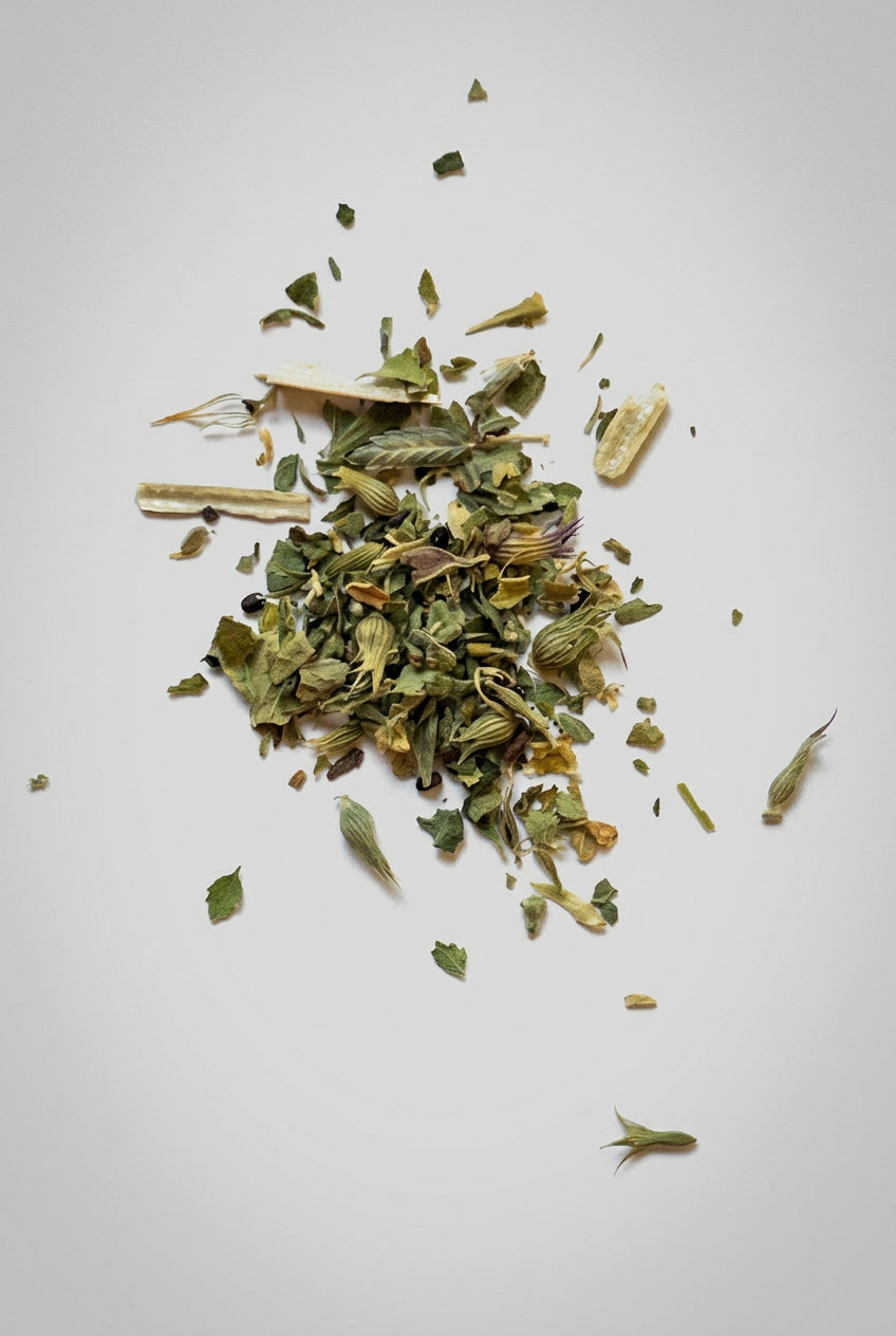 Catnip