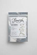 Cool Chamomile