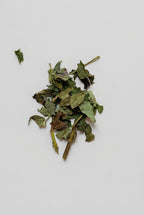 Lemon Balm