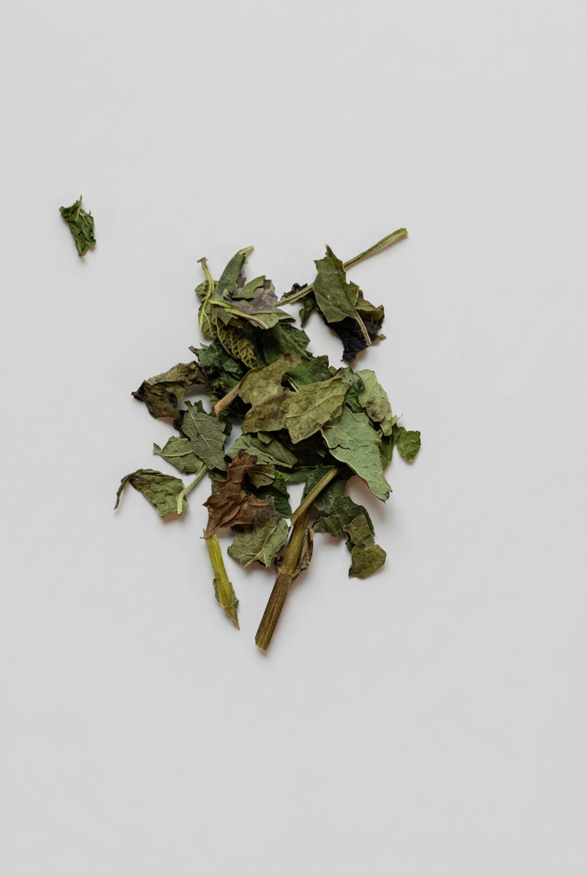 Lemon Balm