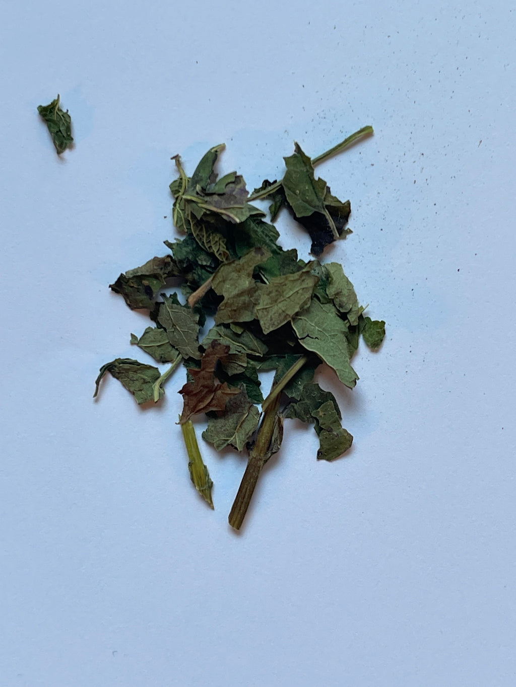 Lemon Balm