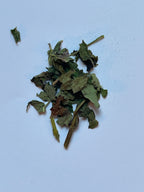 Lemon Balm