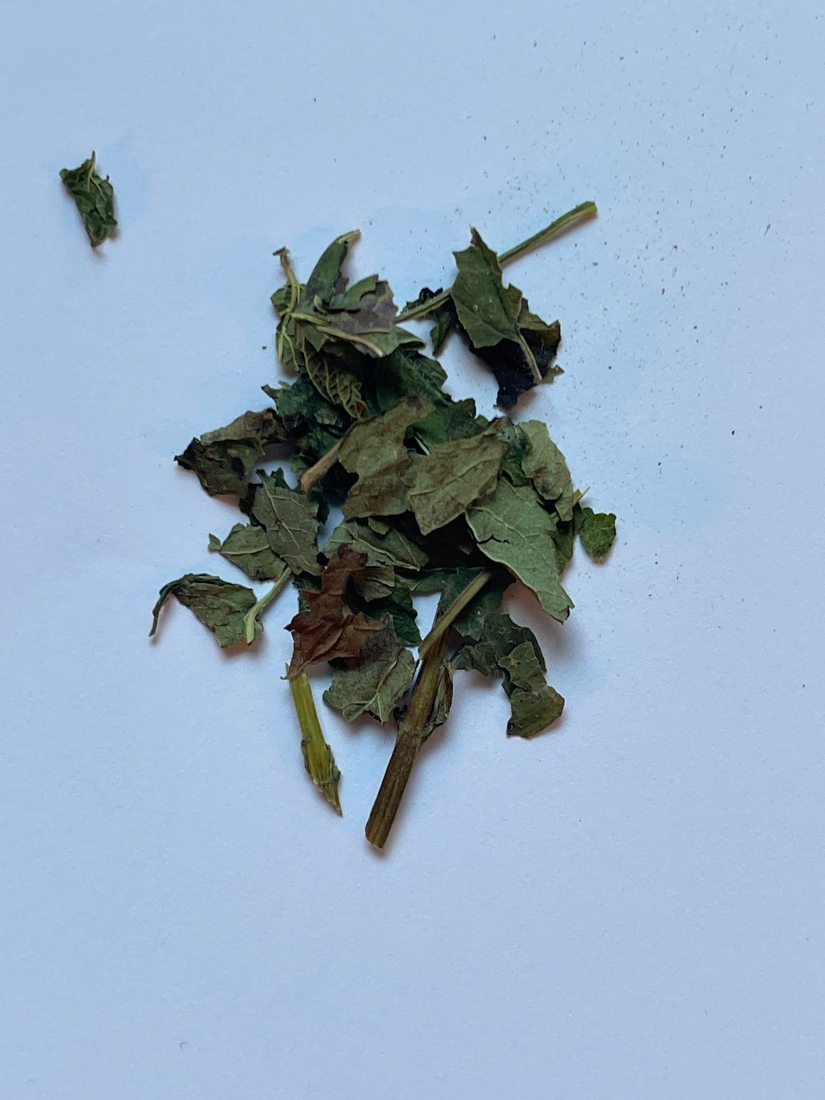 Lemon Balm