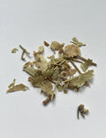 Linden