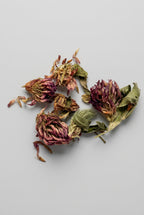 Red Clover