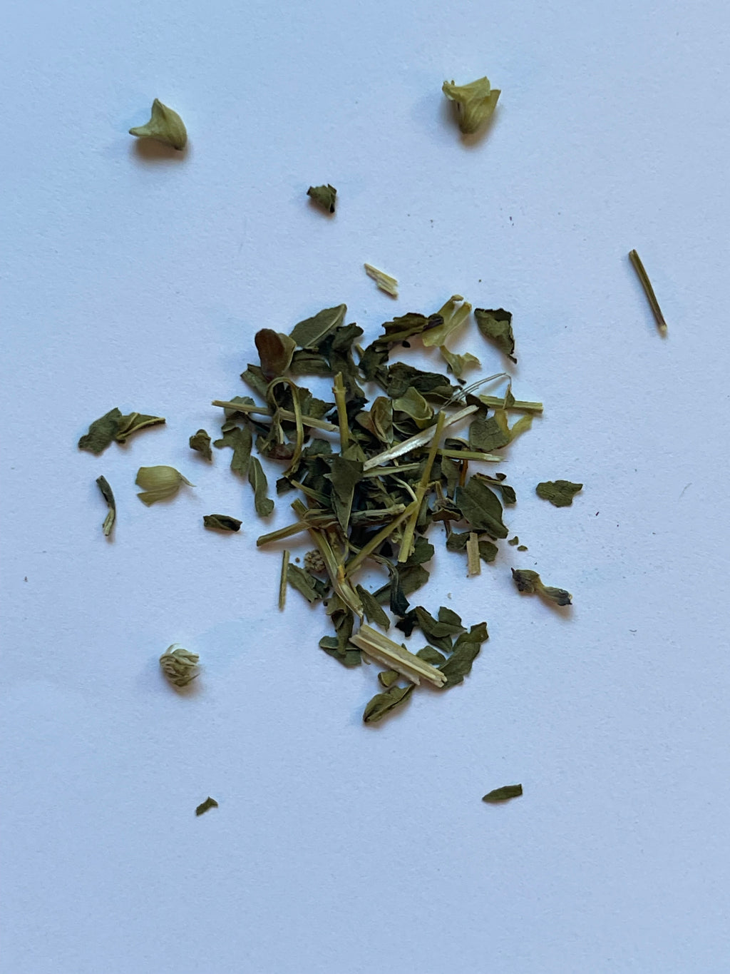 Skullcap