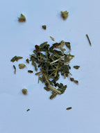 Skullcap
