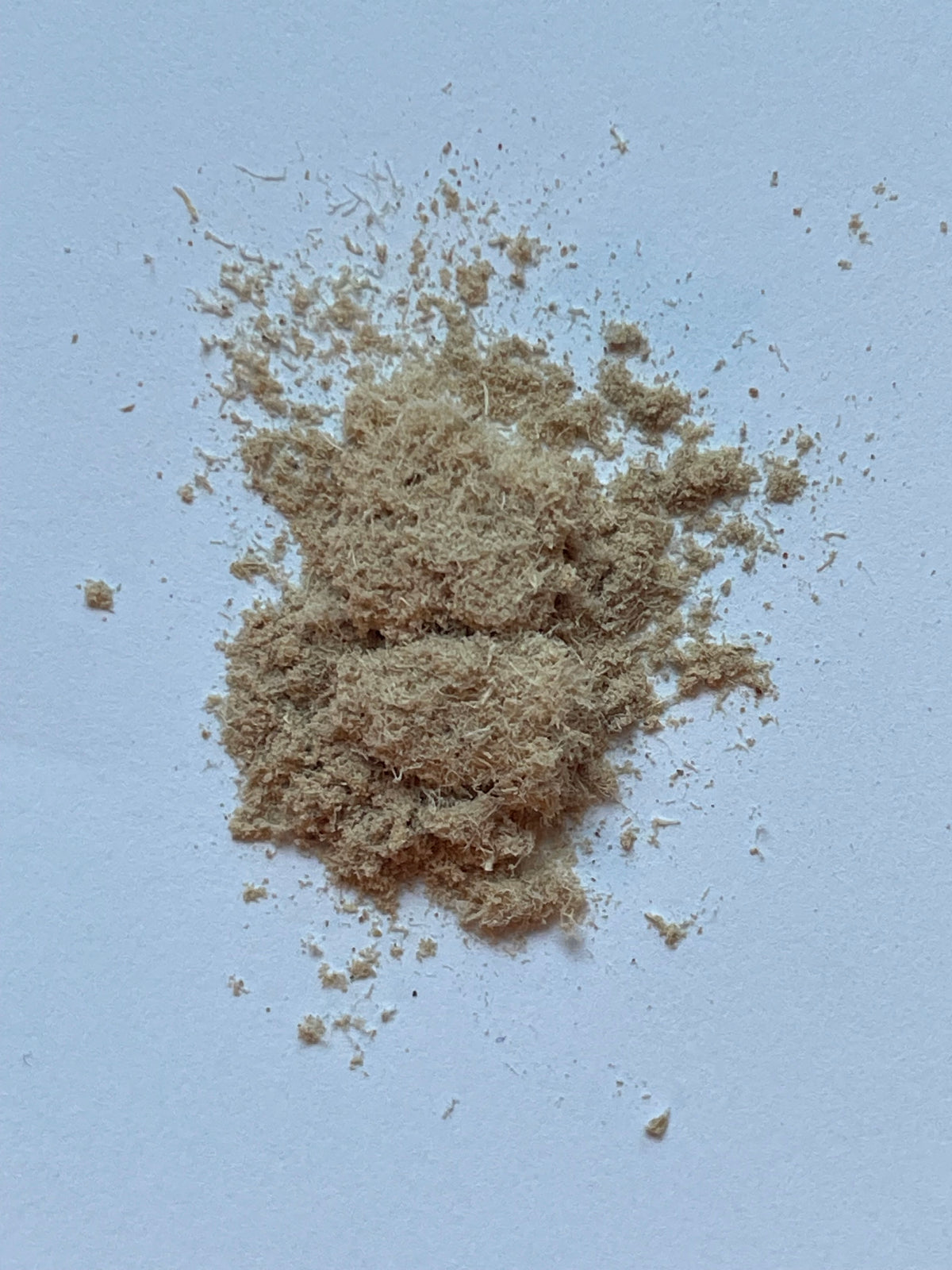 Slippery Elm