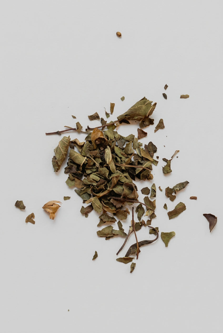 Tulsi/Holy Basil