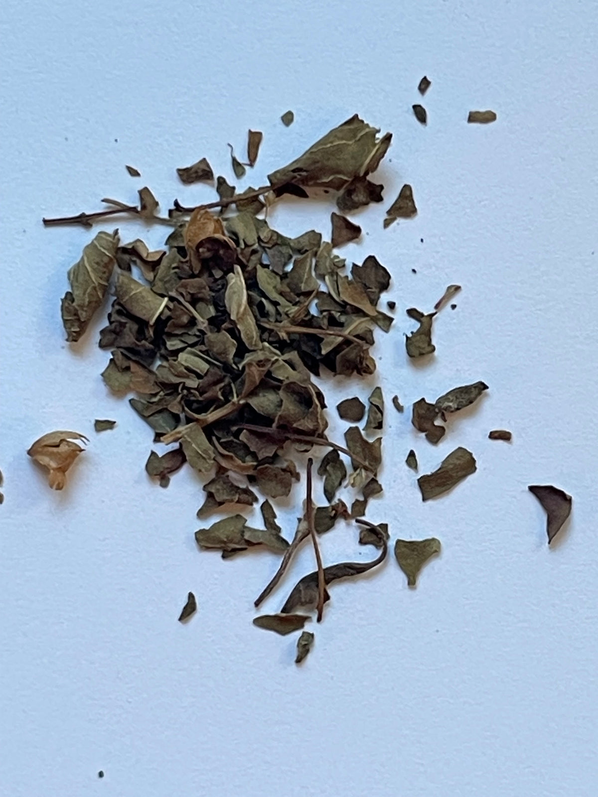 Tulsi/Holy Basil